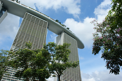 Management de transition